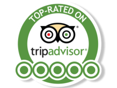 Tripadvisor logo with customer reviews